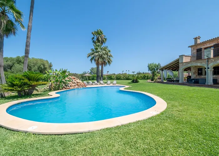 Son San Marti Gran *