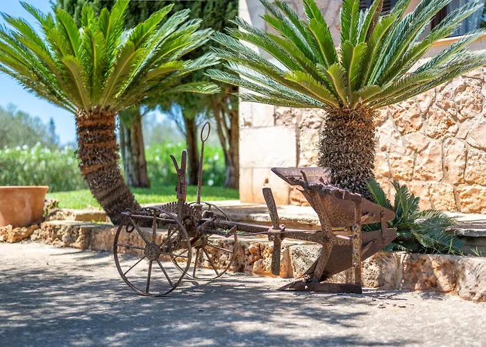 Villa Son San Marti Gran