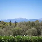 Son San Marti Gran Villa Can Picafort (Mallorca)