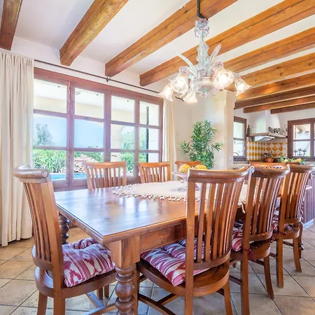 Son San Marti Gran 캔 피카폴트