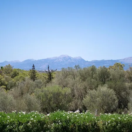 Son San Marti Gran *