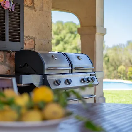 Son San Marti Gran 캔 피카폴트