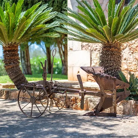 Villa Son San Marti Gran