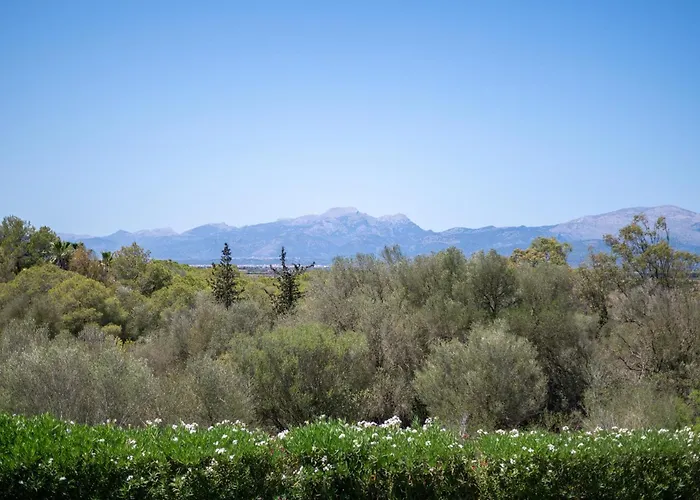 Son San Marti Gran *