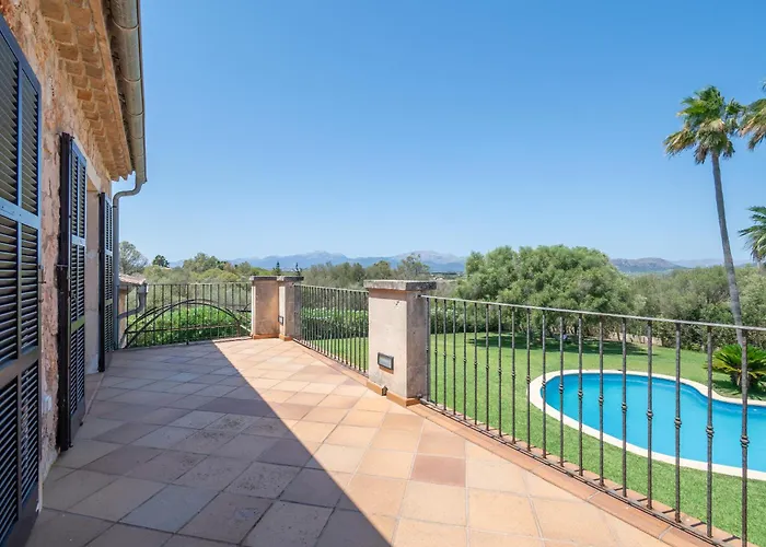 Son San Marti Gran 캔 피카폴트