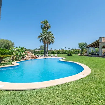 Son San Marti Gran *